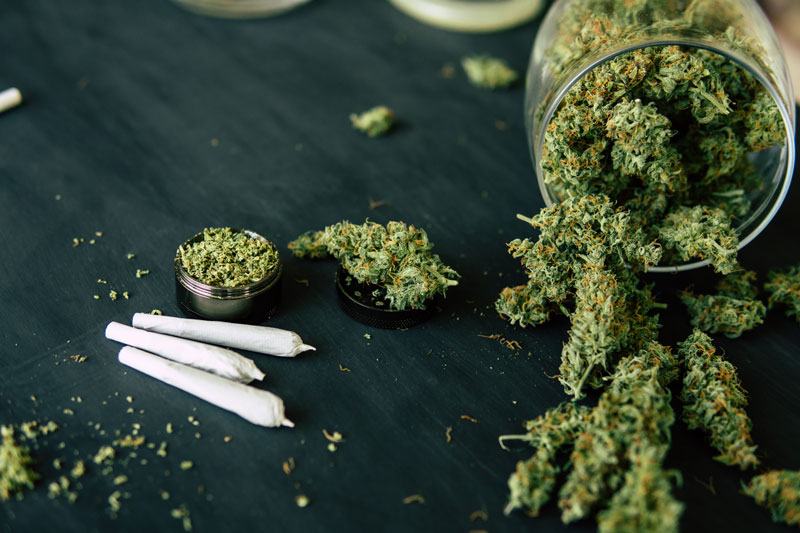 Satica Cannabis weed